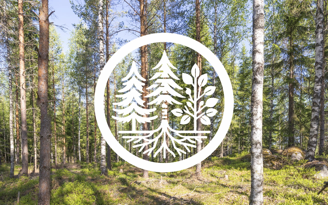 Mhy Kymenlaakso liitti metsänsä Etelä-Karjalan yhteismetsään