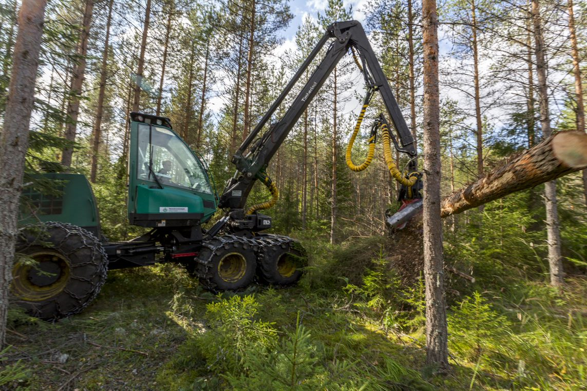 Hakkuiden rajoittamiselle ei perusteita