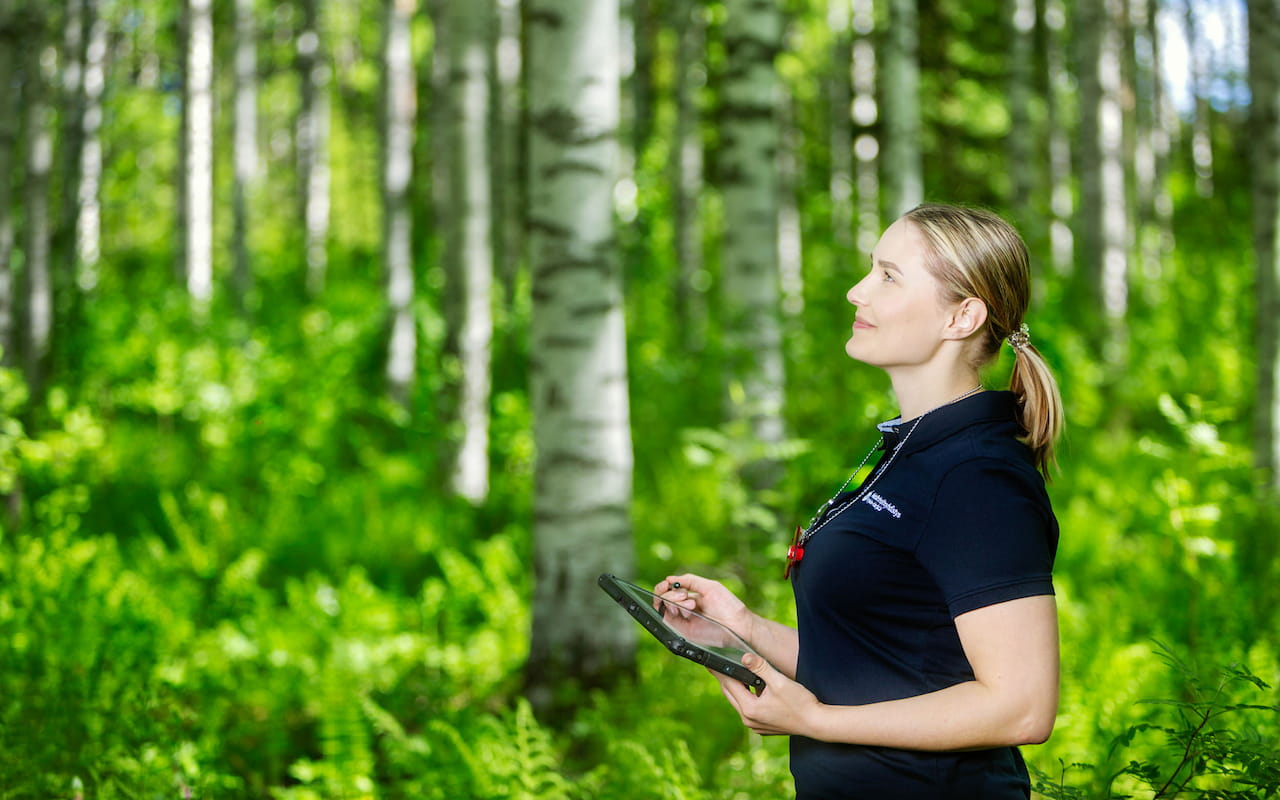 Metsäasiantuntija arvioi metsässä sen arvoa.