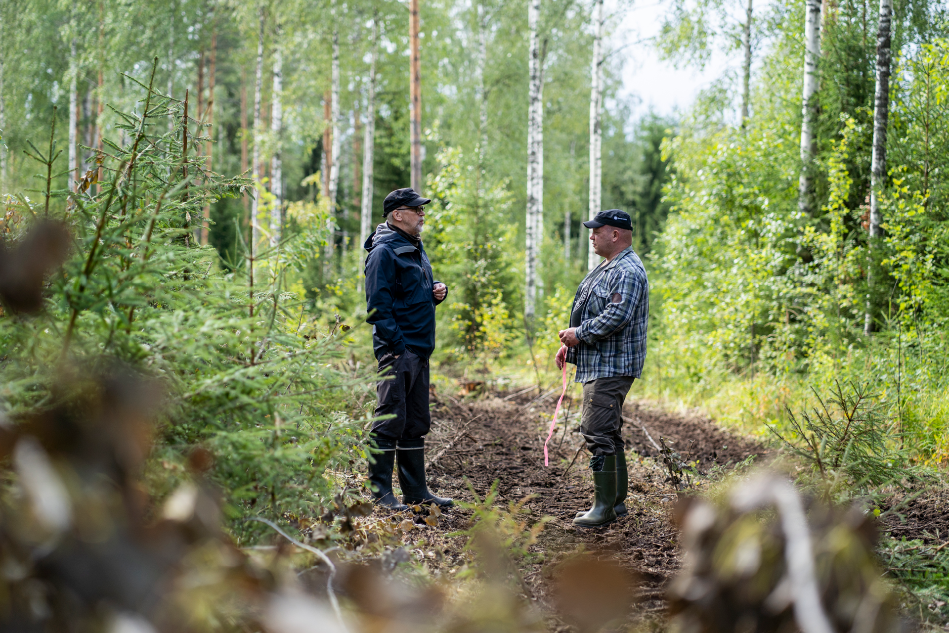 Tavoita oma metsäasiantuntijasi