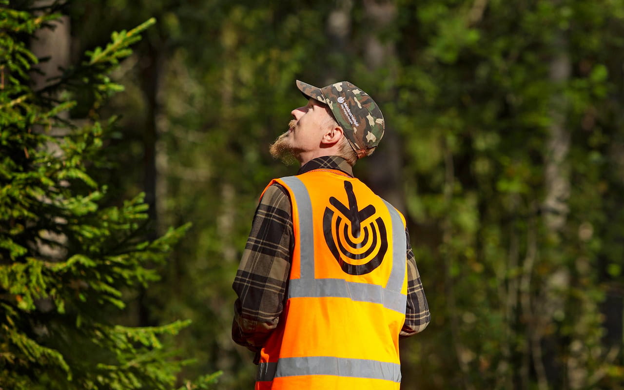 Metsäasiantuntija metsässä