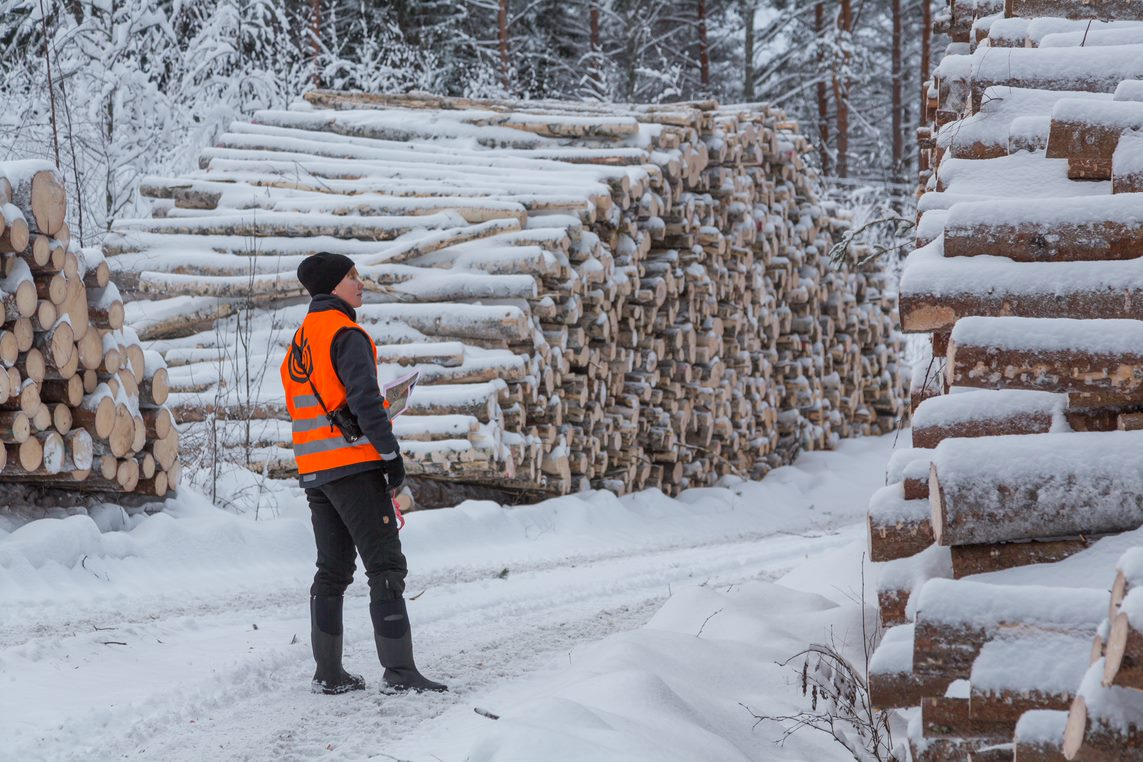 Korjuun valvonta kannattaa aina!