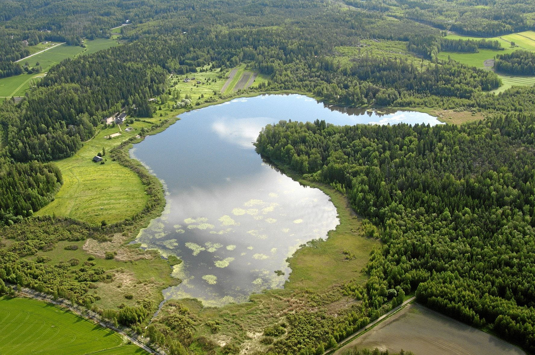 Ennallistaminen
