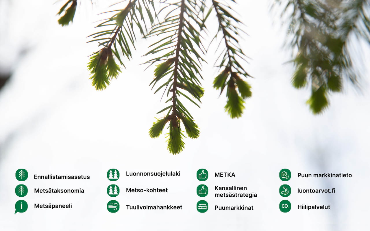 Metsänomistajan puolesta monella rintamalla vuonna 2022