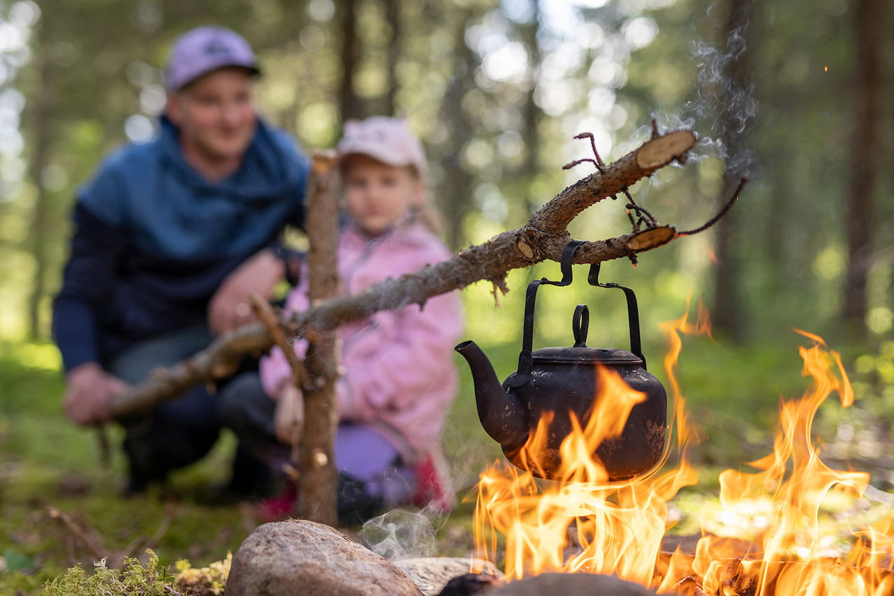Liity metsänhoitoyhdistyksen jäseneksi