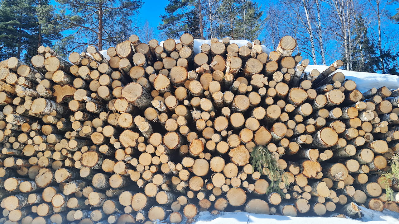 Metsänomistajilla on myyntihousut jalassa tänäkin vuonna