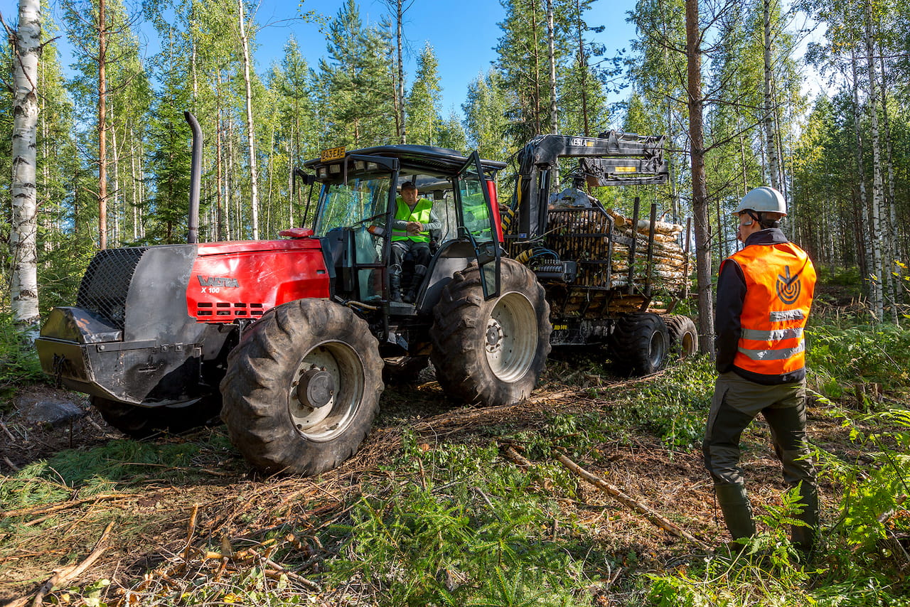 Metsänomistajalle kannattava puukauppa