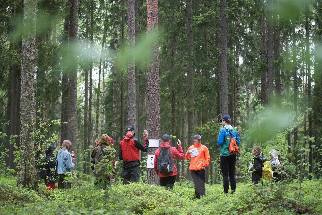 Metsänhoitoyhdistykset mukana tukemassa Metsävisaa