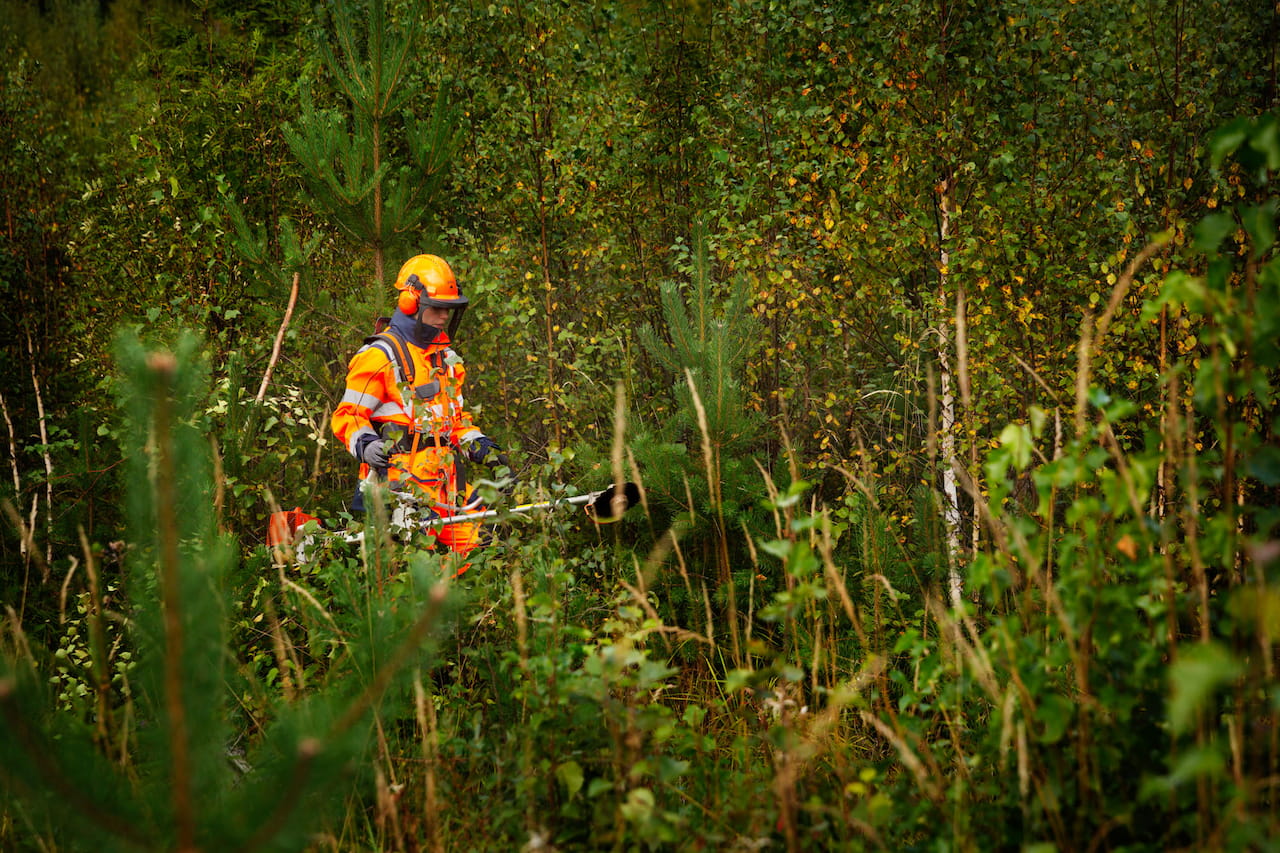 Mitä uutta metka - metsätalouden kannustejärjestelmä tuo mukanaan?