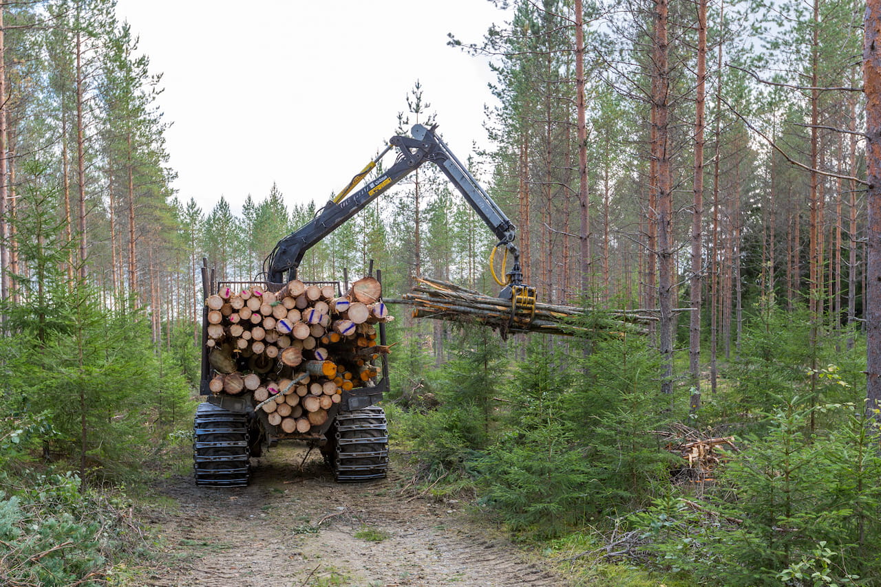 Virkeshandelsöversikt maj 2024