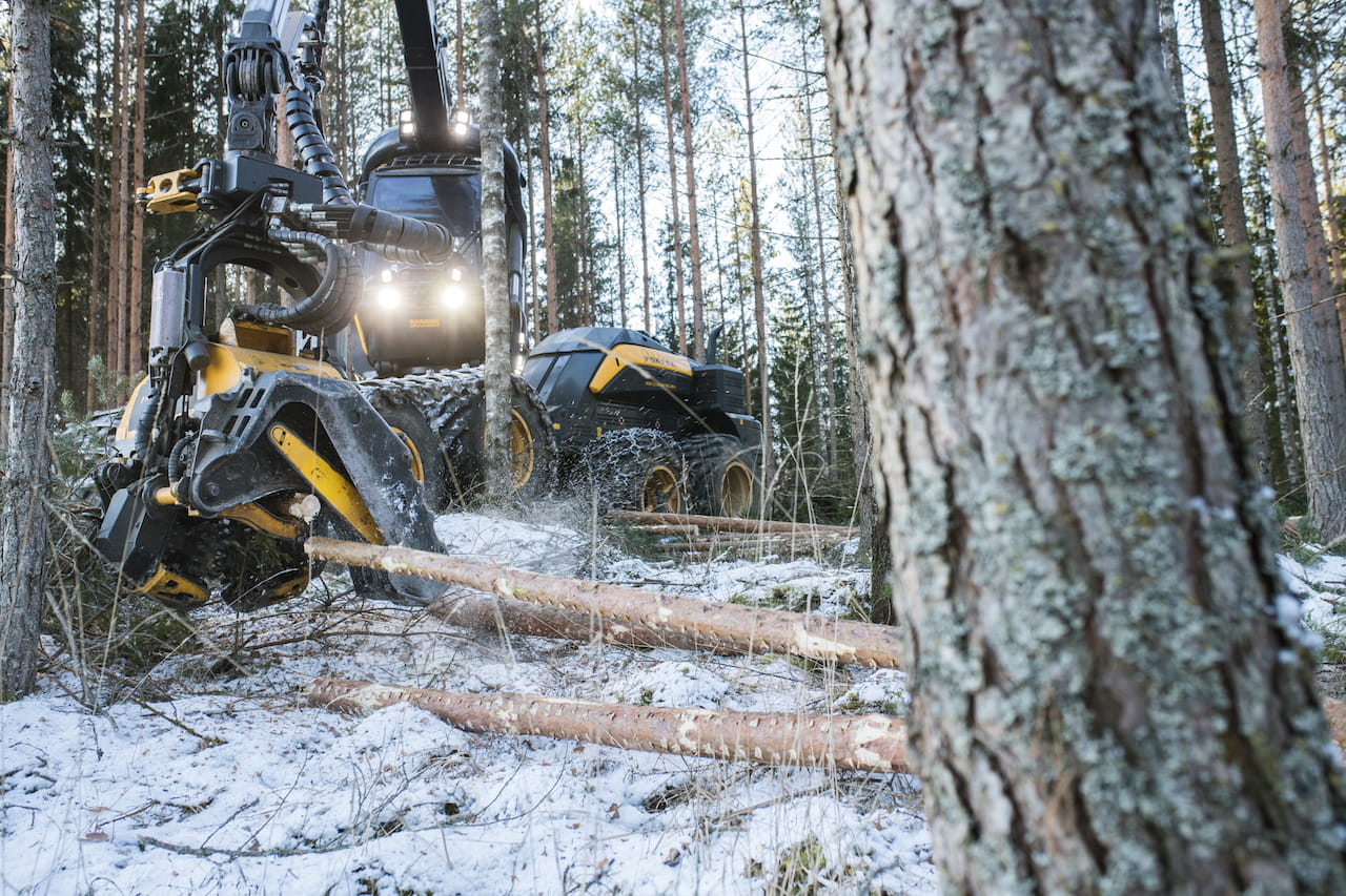 Puumarkkinakatsaus helmikuu 2025