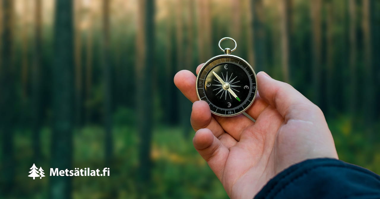Metsätilat.fi on julkaissut uuden metsätilan arvonmäärityspalvelun - Hintakompassin