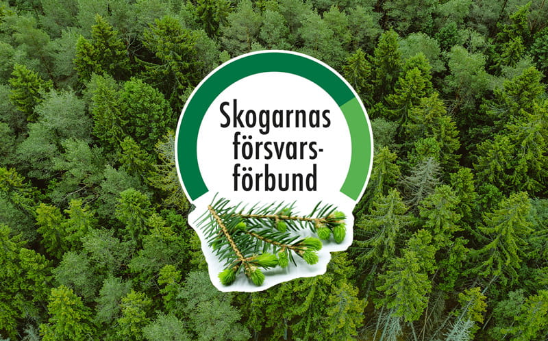 Varför välja en skogsvårdsförening?