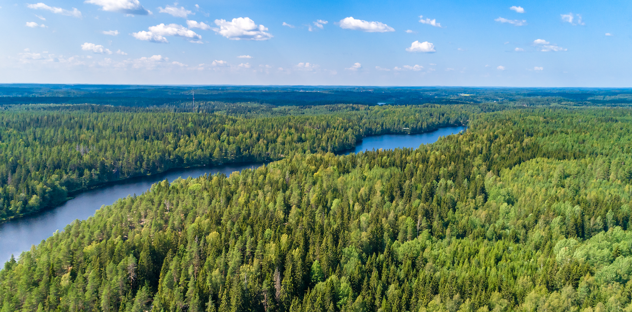 Metsänhoitoyhdistykset Länsi-Suomessa aloittaneet fuusioneuvottelut
