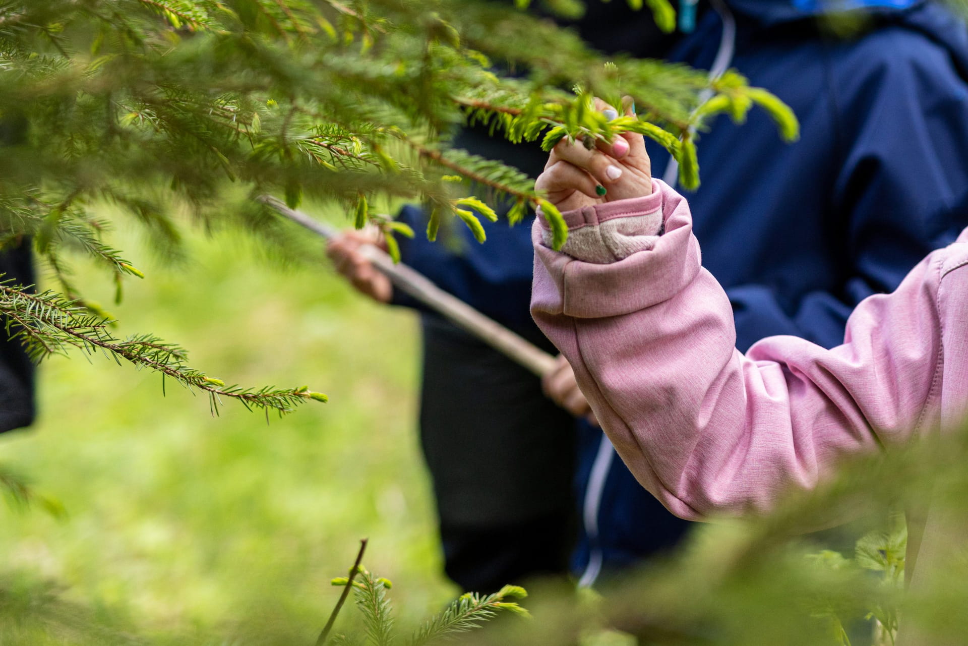 Metsätilan omistajanvaihdokset ja sukupolvenvaihdos -webinaari
