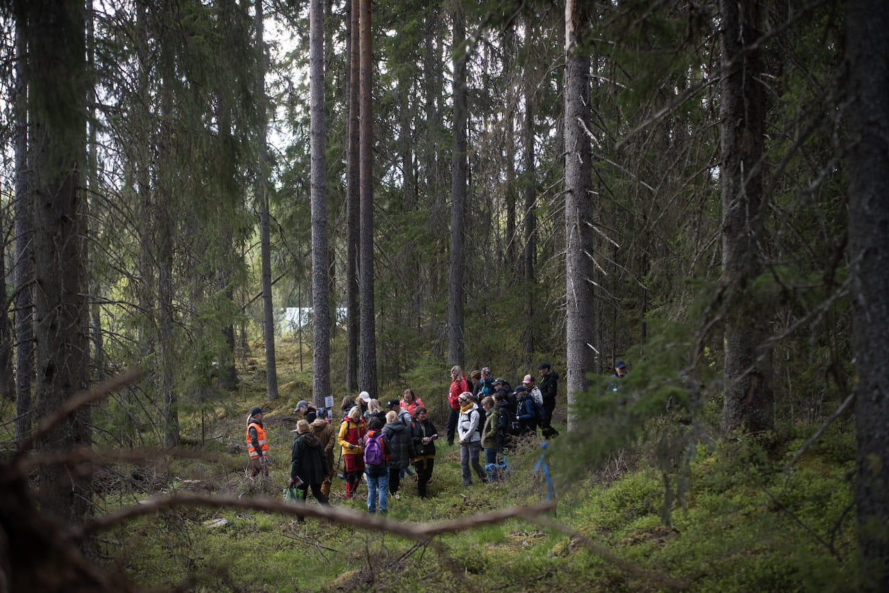 metsävisa vilma issakainen