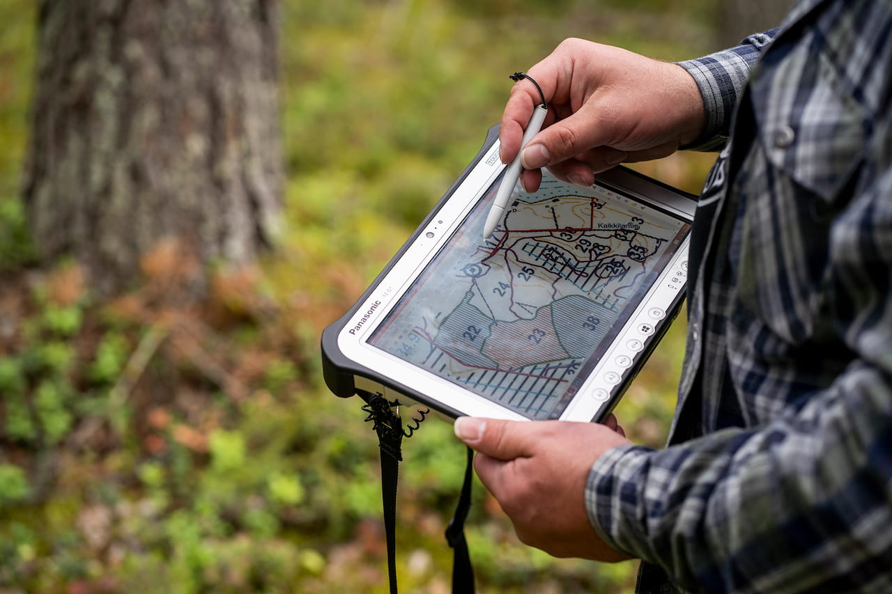 Metsä on enemmän kuin työ – vahva luontosuhde yhdistää metsäammattilaisia