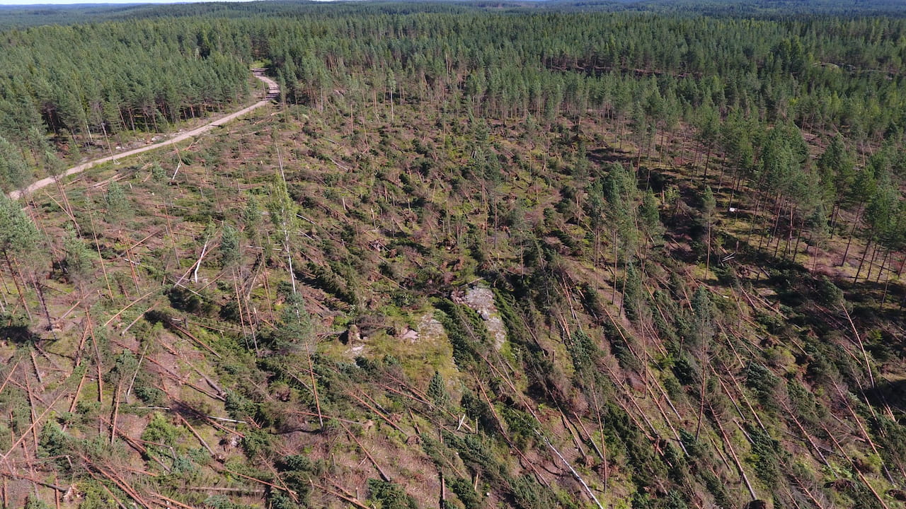 Ilmasta kuvattu myrskytuho