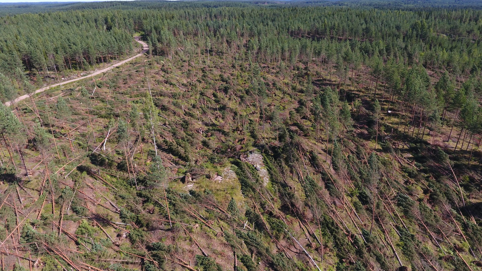 Ilmasta kuvattu myrskytuho