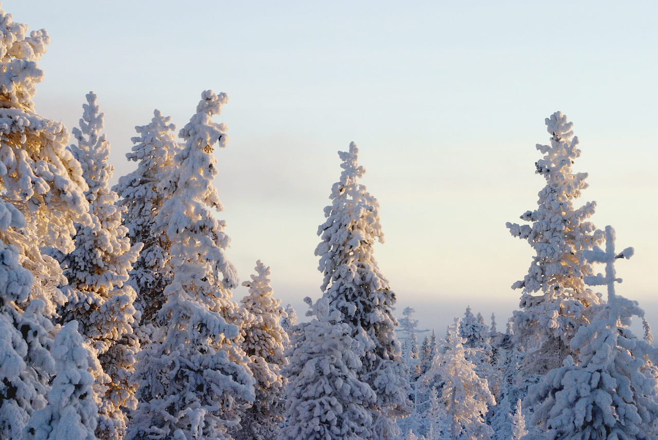 Toimihenkilöt koulutuksessa 23.-24.11.