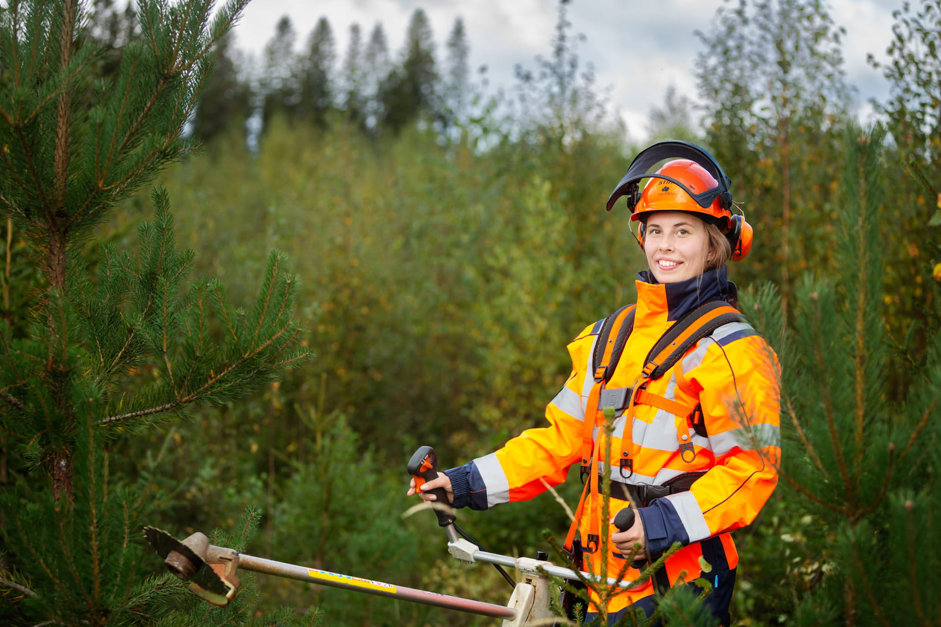 metsänhoitoyhdistys kymenlaakso taimikonhoito