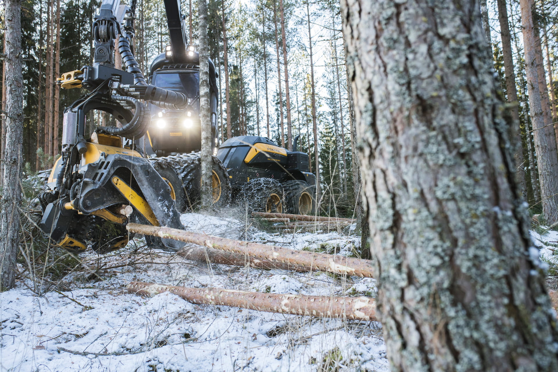 jokela harvennusmetsien harvennukset mhy kymenlaakso