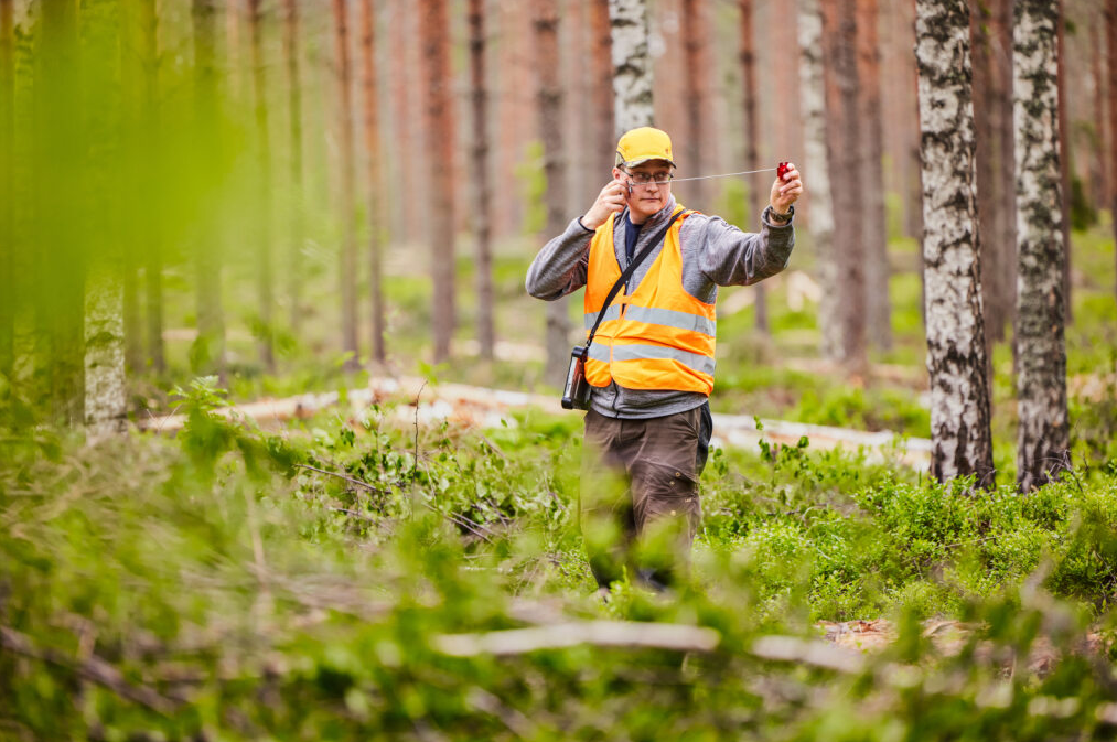 Metsätaitokilpailu
