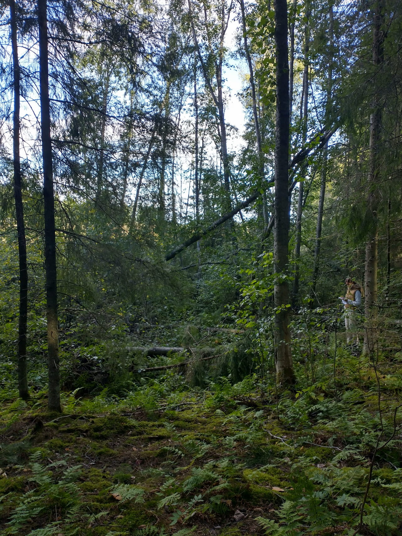 Sertifiointikoulutus Mhy Kanta-Hämeen alueella