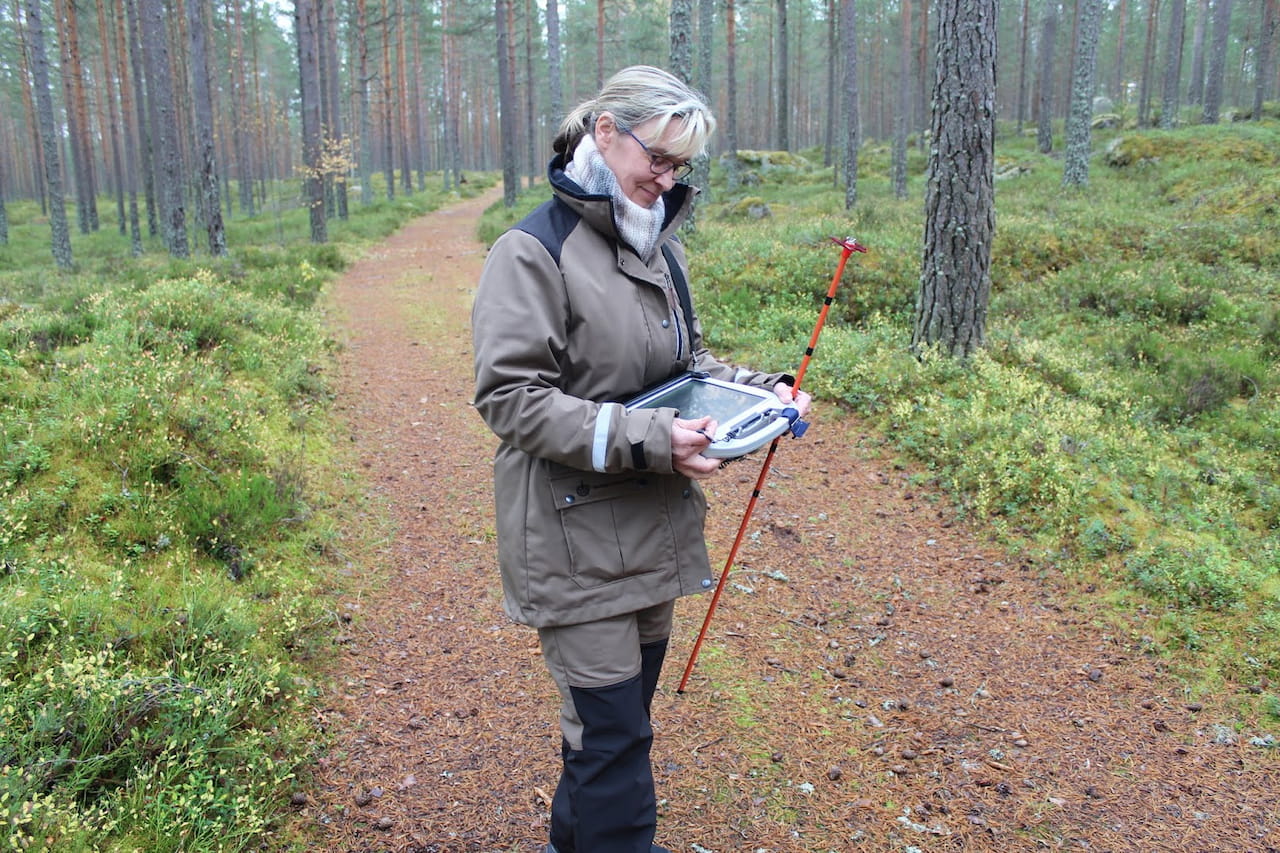 Vain arviointiammattilaisen maastossa tekemä arvio on metsäarvio