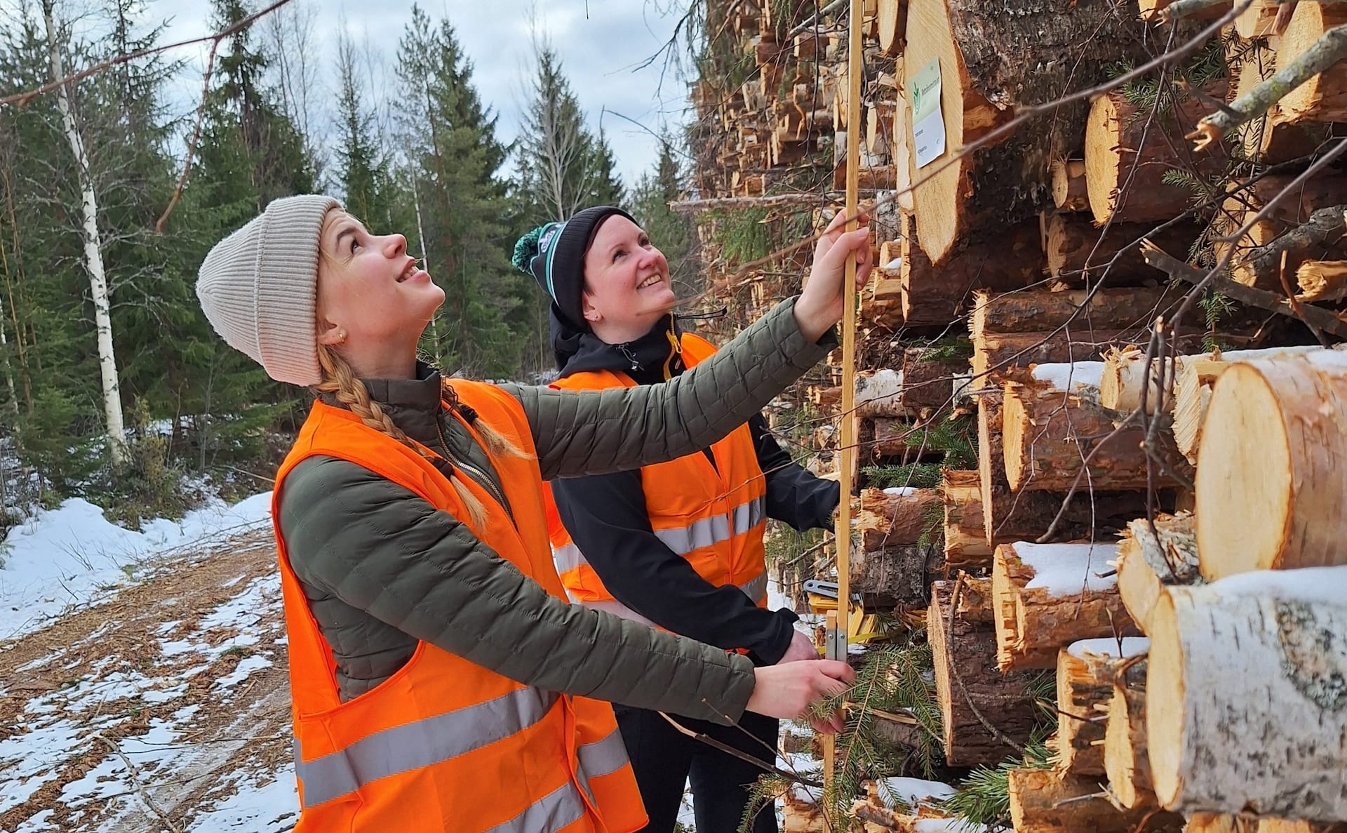 Metsänhoitoyhdistys Karhu