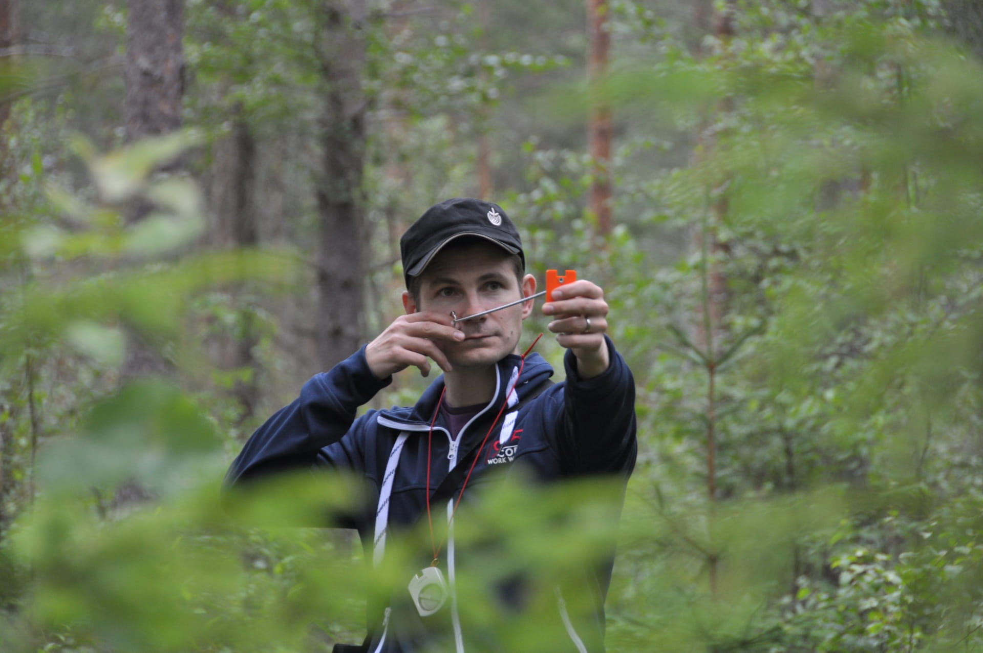 Edut metsään