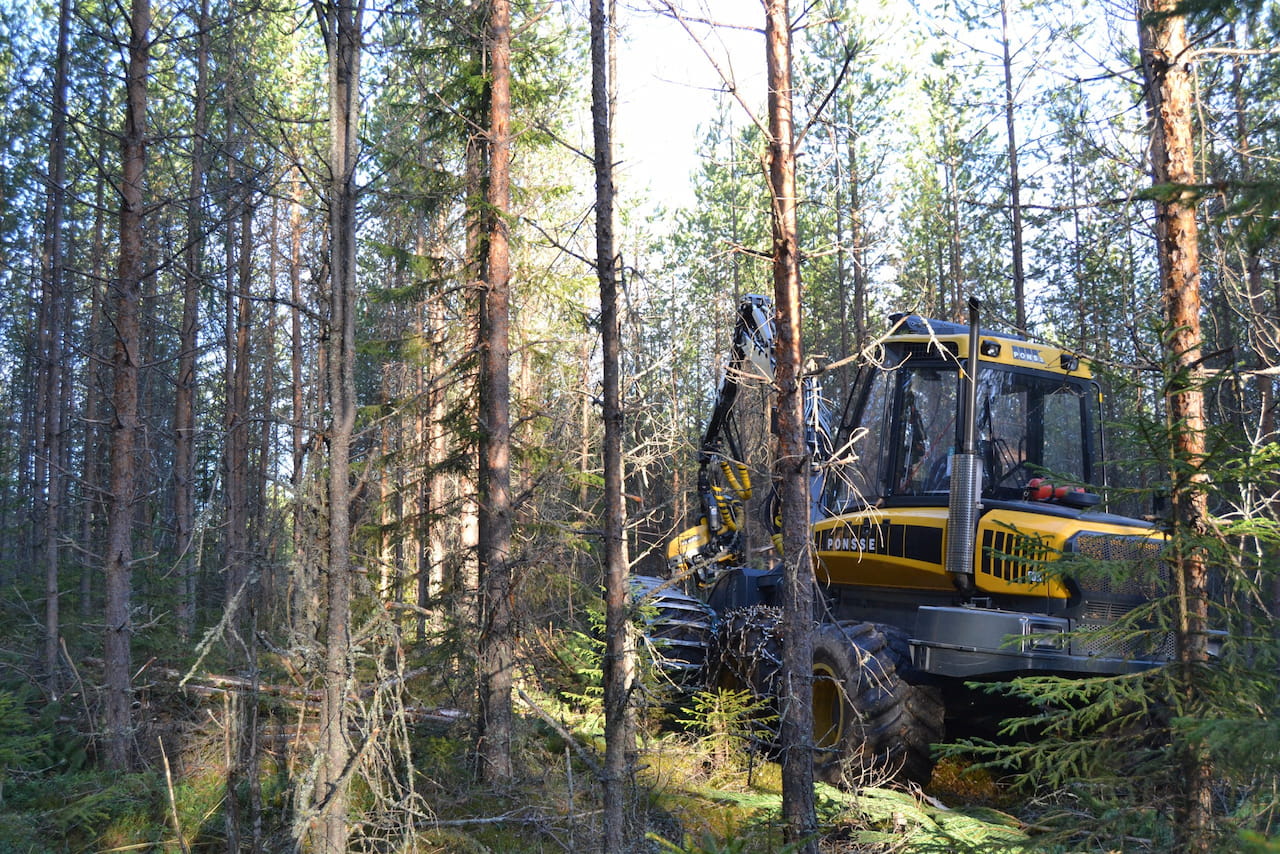 Korjuunvalvontaan erityishuomio Mhy Keski-Suomessa