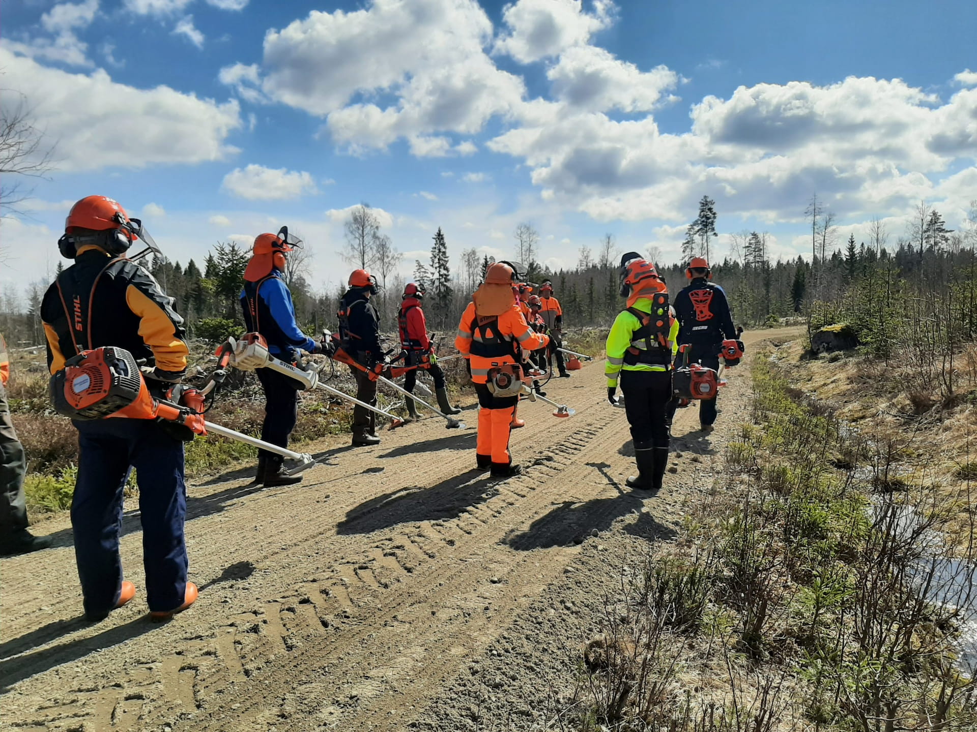 Aloittelijoiden raivaussahakurssi
