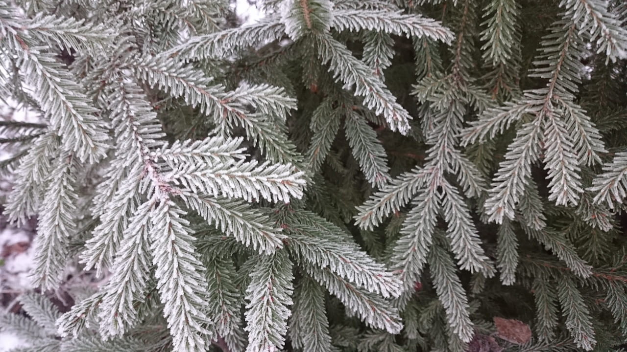 Terjo aloitti Jalasjärvellä