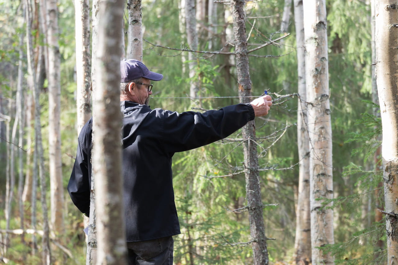 Pellossa 15.9.2023 pidettyjen metsätaitokisojen tulokset