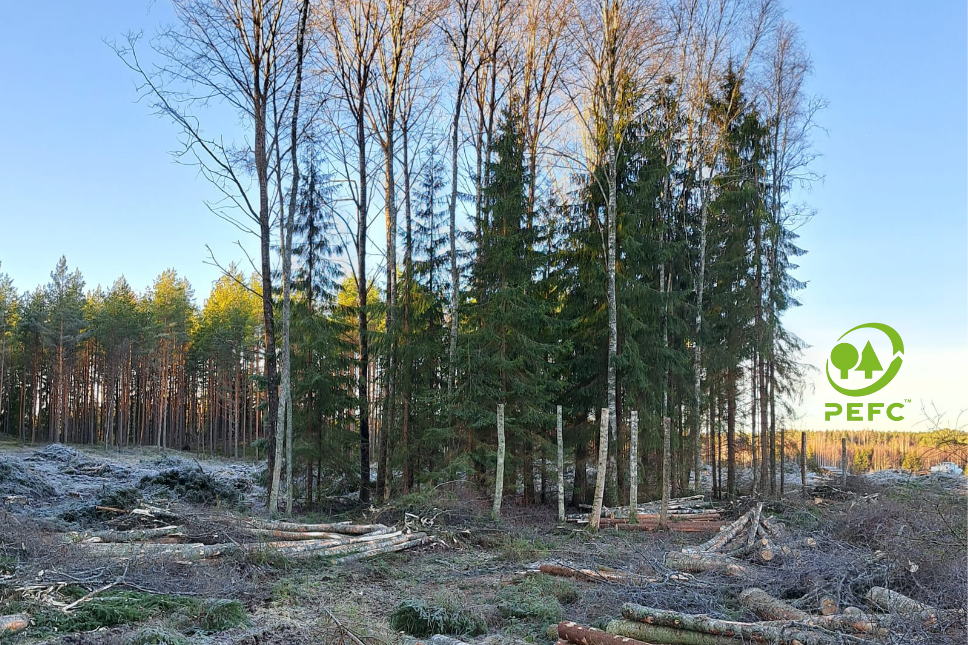 PEFC-Sertifiointi-koulutus Eurassa