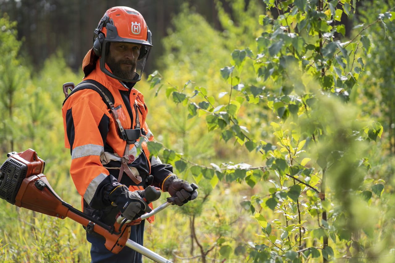 Taimikonhoito on metsänkasvatuksen tärkein työvaihe
