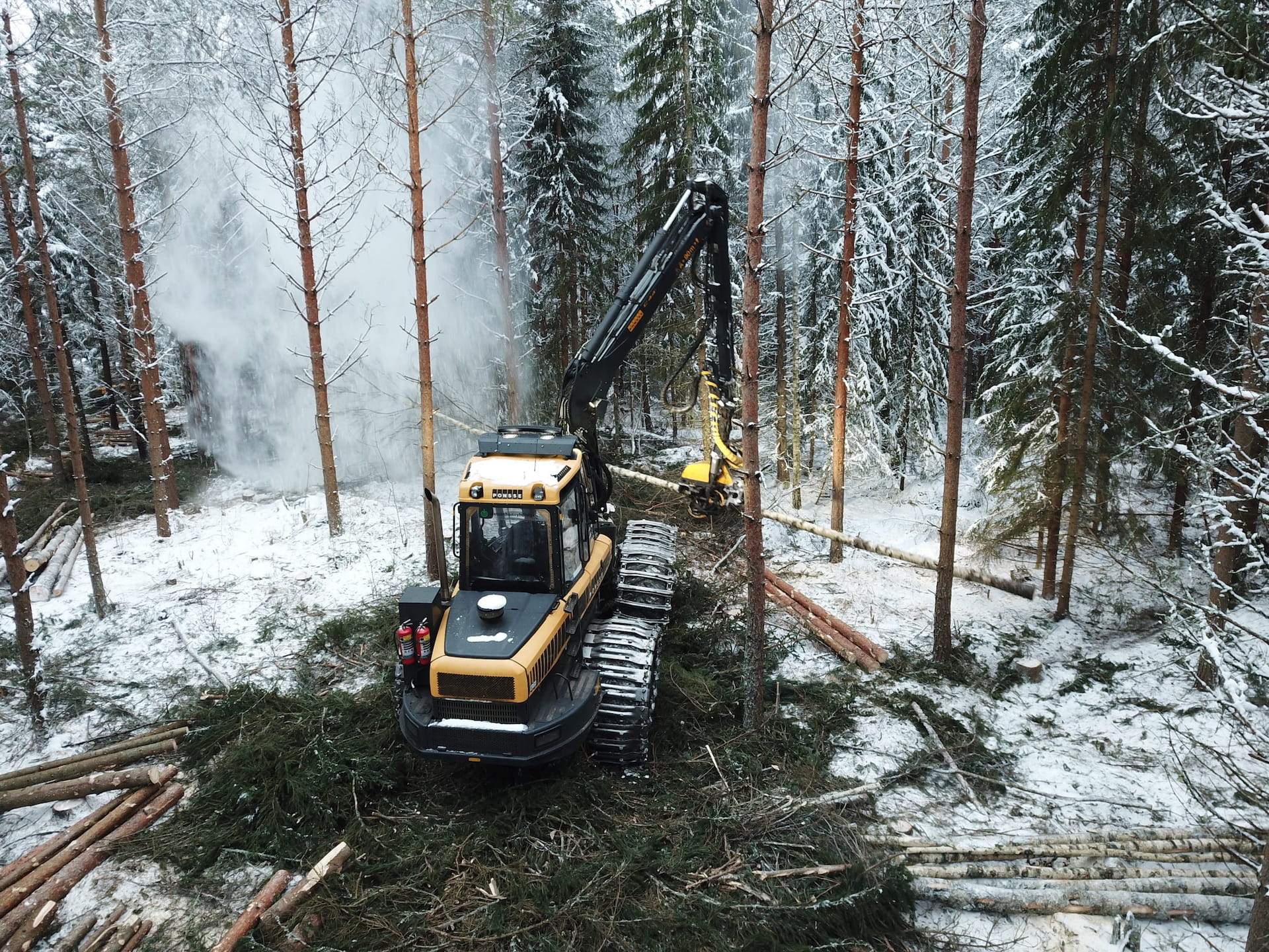 Korjuunäytös