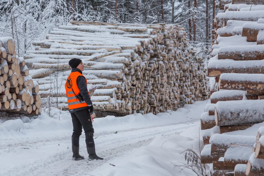 Tupailta Saukkolassa