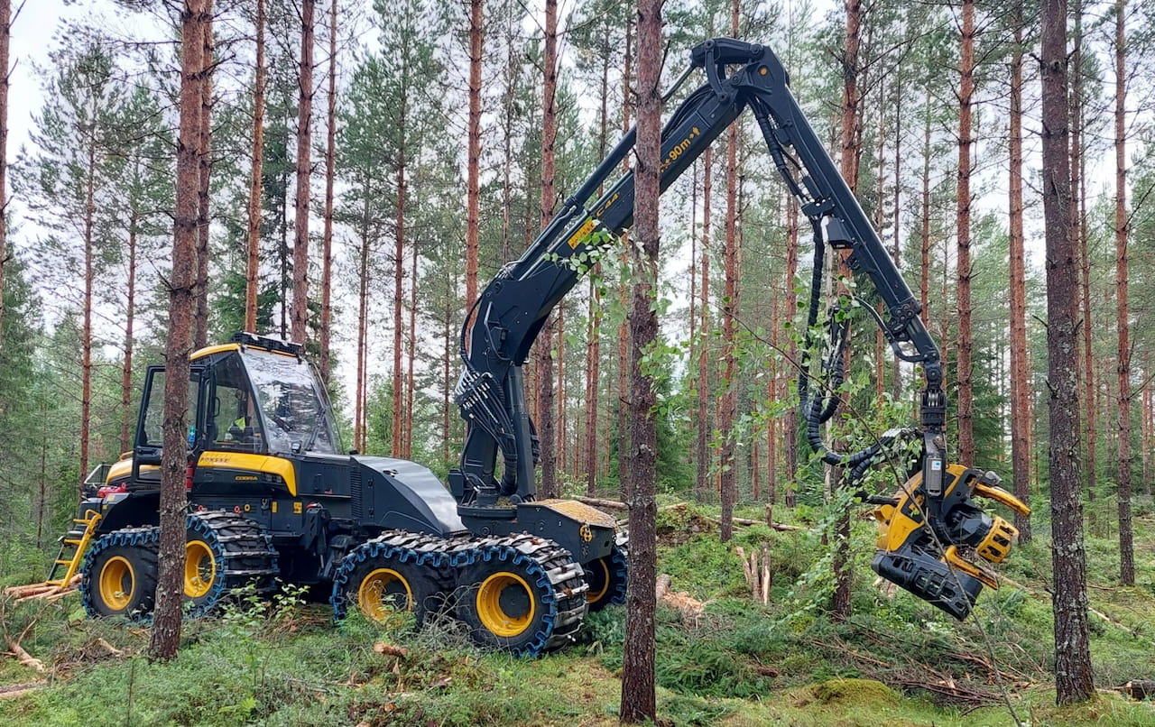 Marraskuun puumarkkinakatsaus