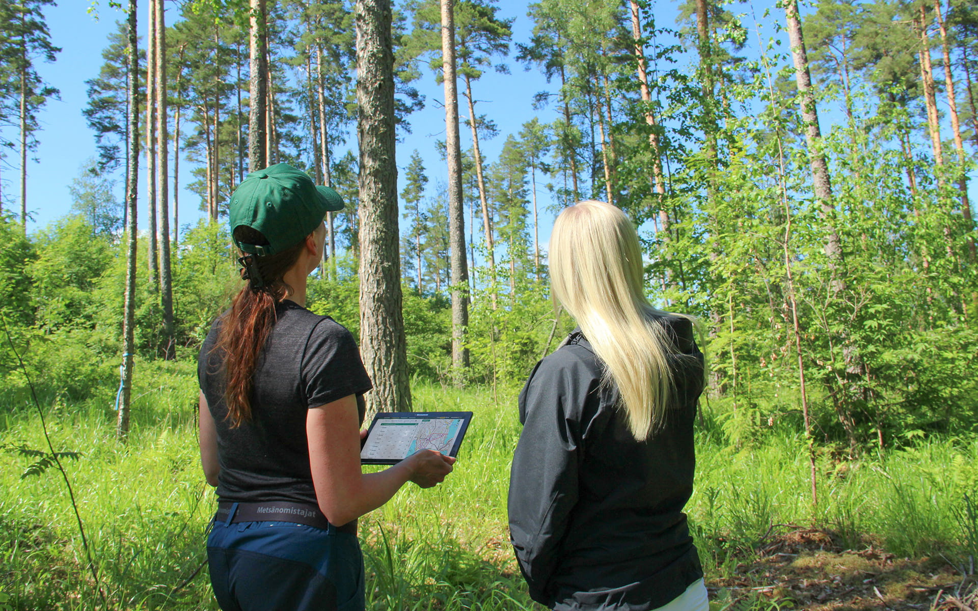 LeafPointin käyttöönotto