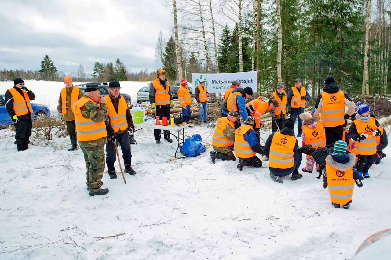 Hakkuunäytös Ristiinassa