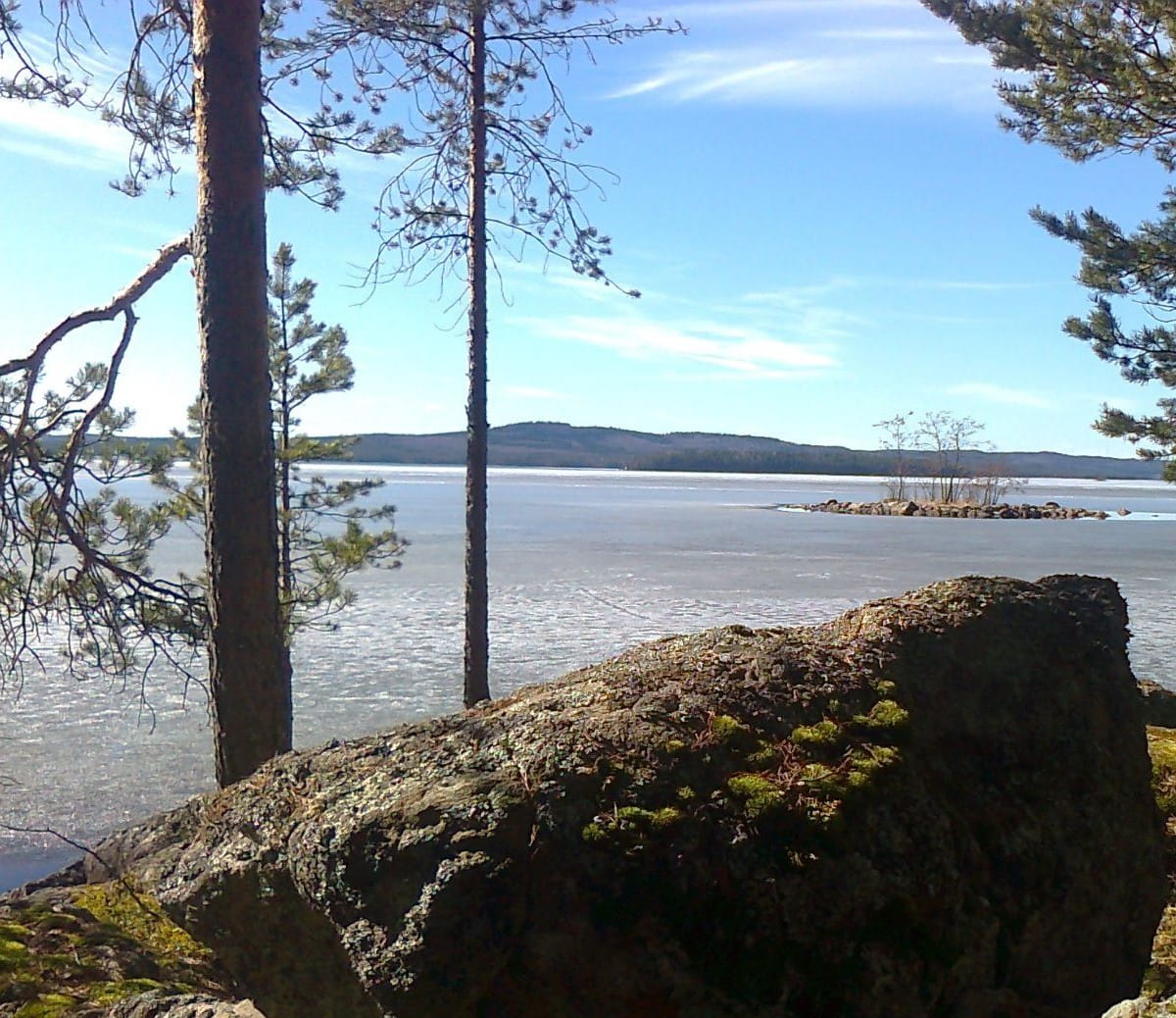 Eduskuntavaaliehdokkaiden mietteitä metsästä