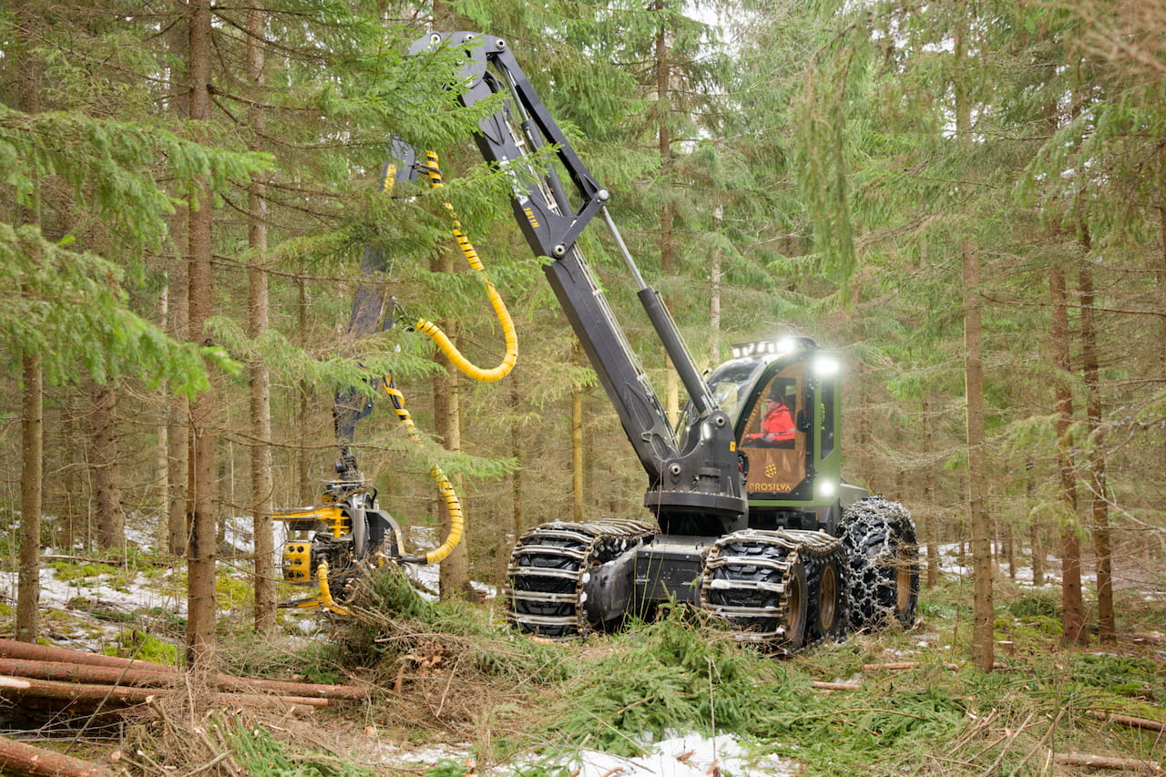 Hakkuunäytös keräsi katsojia Ristiinassa