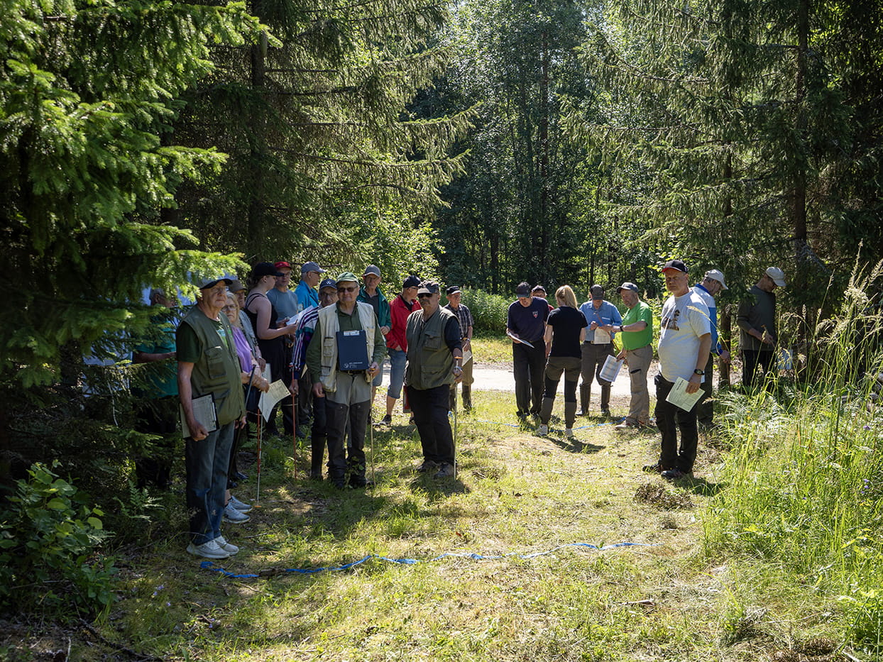 Suomenniemen metsätaitokilpailujen voittajaksi Matti Matilainen