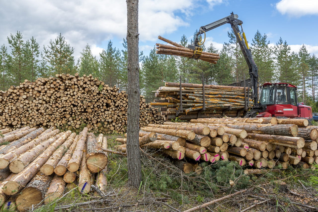 Kilpailutuksen merkitys puukaupassa on entistä tärkeämpää