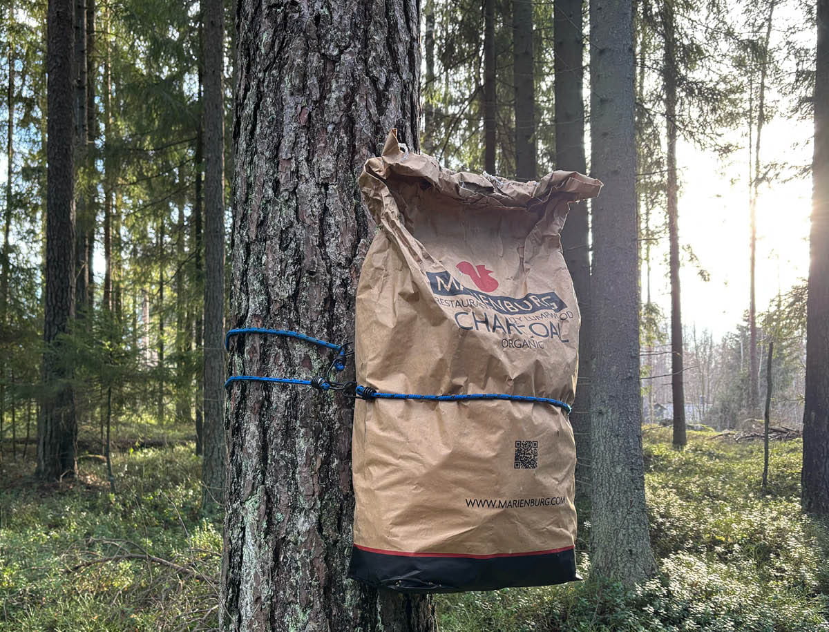 Tee päätös nuorten metsiesi hyväksi nyt, saat leffaliput