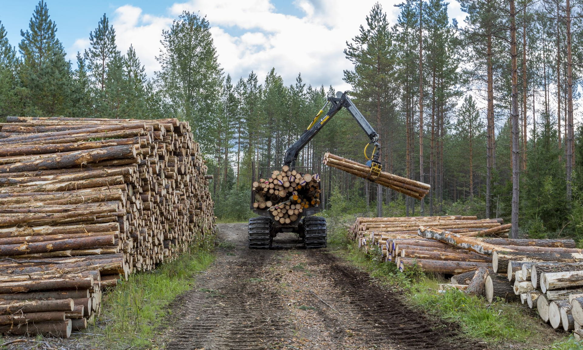Puukauppatarjouksissa suuret erot – Puukaupan kilpailutus ja asiatuntemus ratkaisevat!