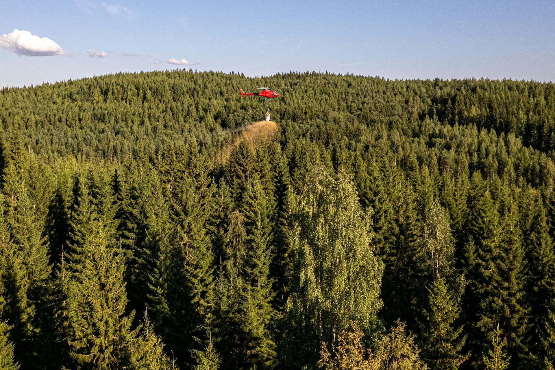 Sijoita metsään, sijoita tulevaisuuteen