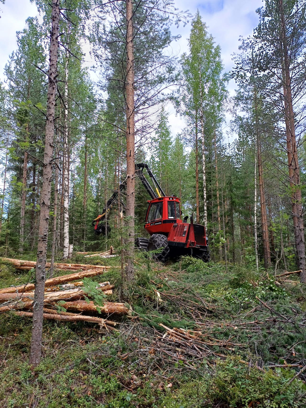 Puu talteen entistä tarkemmin
